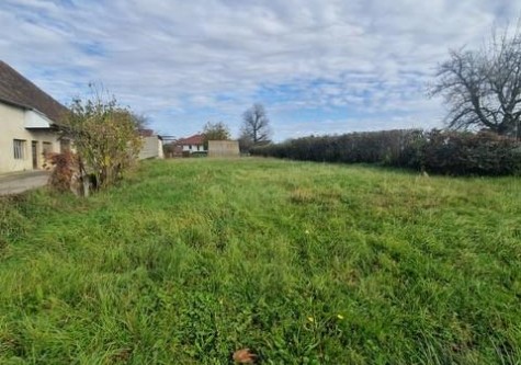 filigrane-9--4453882800849380641