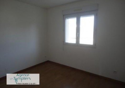 filigrane-DSC08143-9532747424042118639