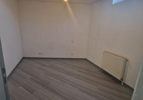 filigrane-9--7291603809402137082