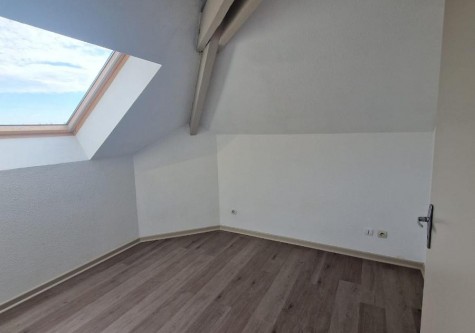 filigrane-5--15411345292068175178